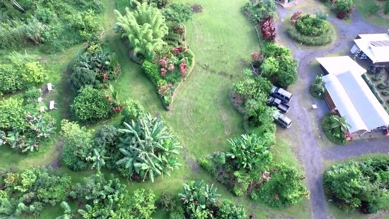 Hawaiian Sanctuary Eco Retreat Center Villa Pahoa Eksteriør billede