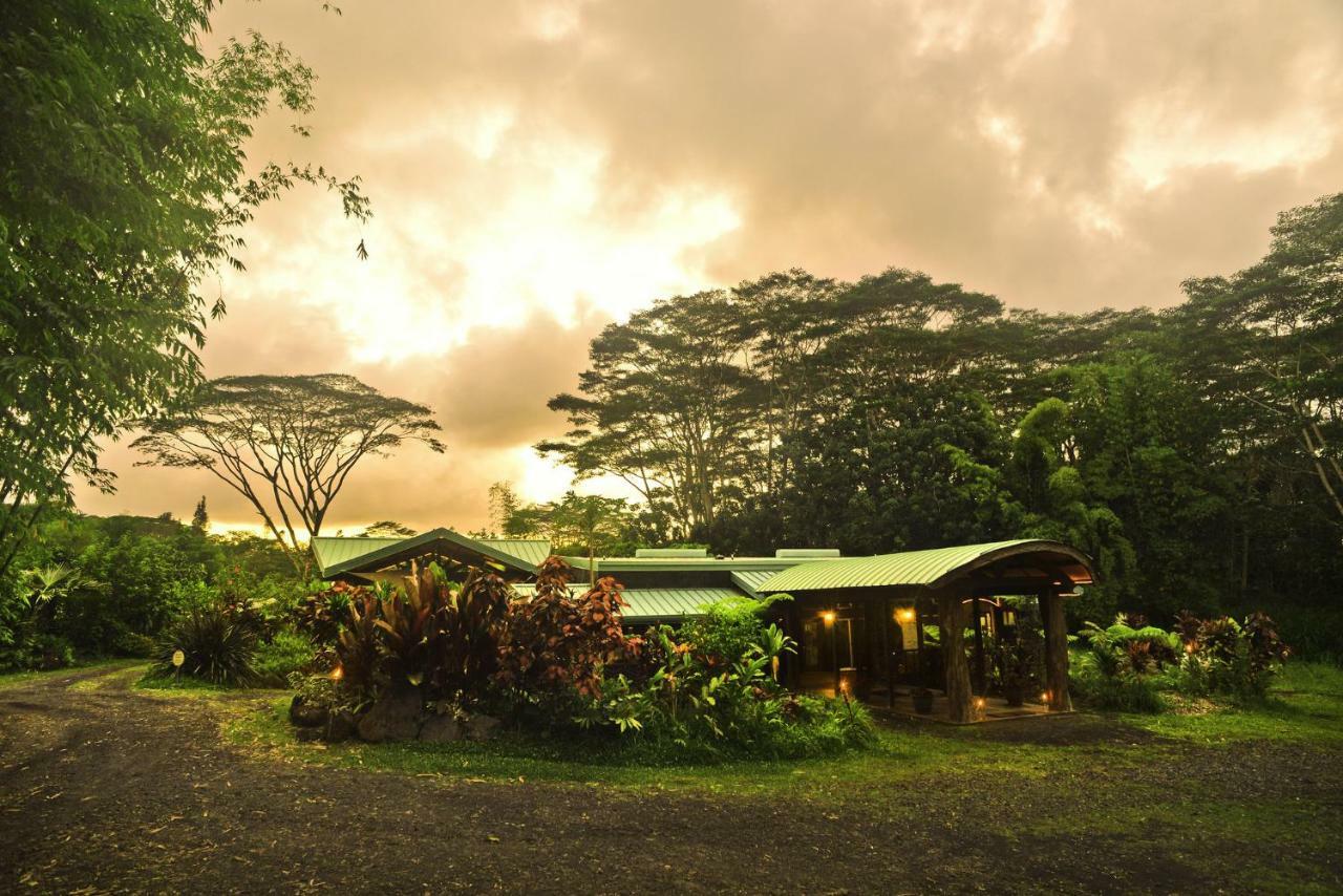 Hawaiian Sanctuary Eco Retreat Center Villa Pahoa Eksteriør billede